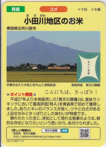小田川の写真