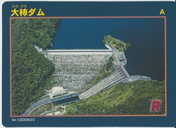 大柿の写真