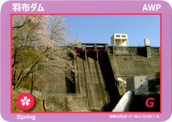羽布の写真