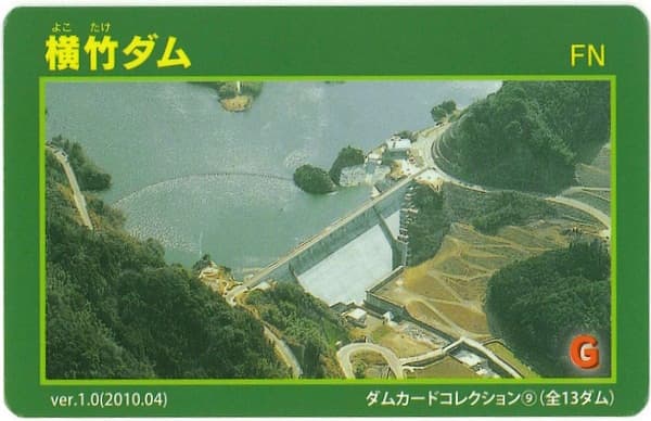 横竹の写真