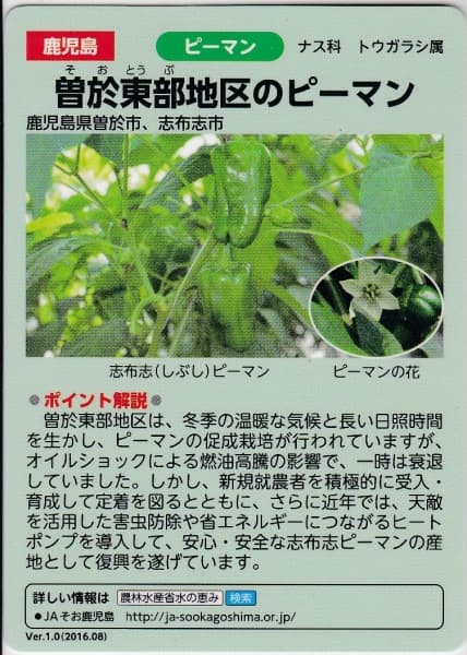 中岳の写真
