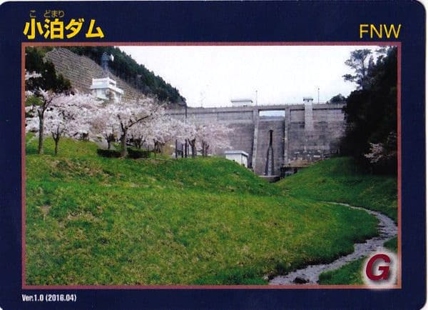 小泊の写真