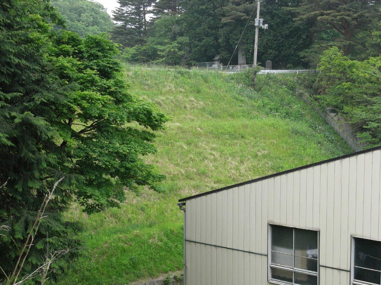 下北沢の写真