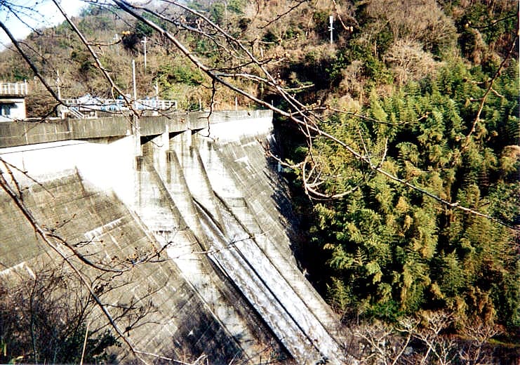 山田の写真