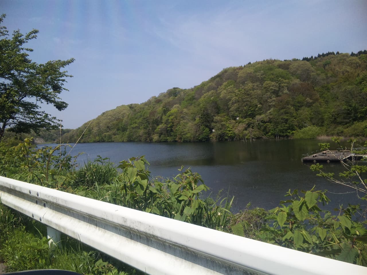 多根の写真