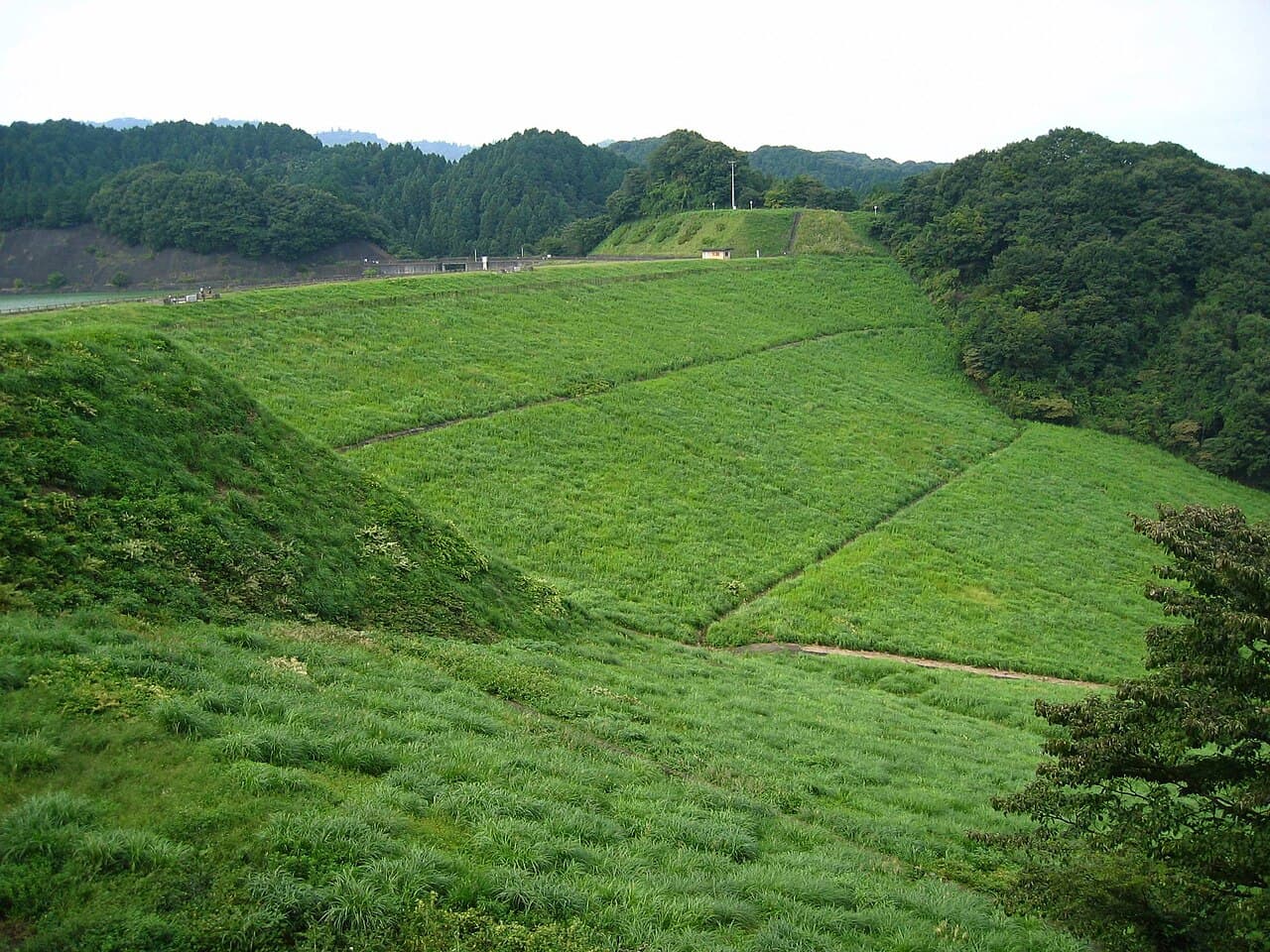 本沢の写真