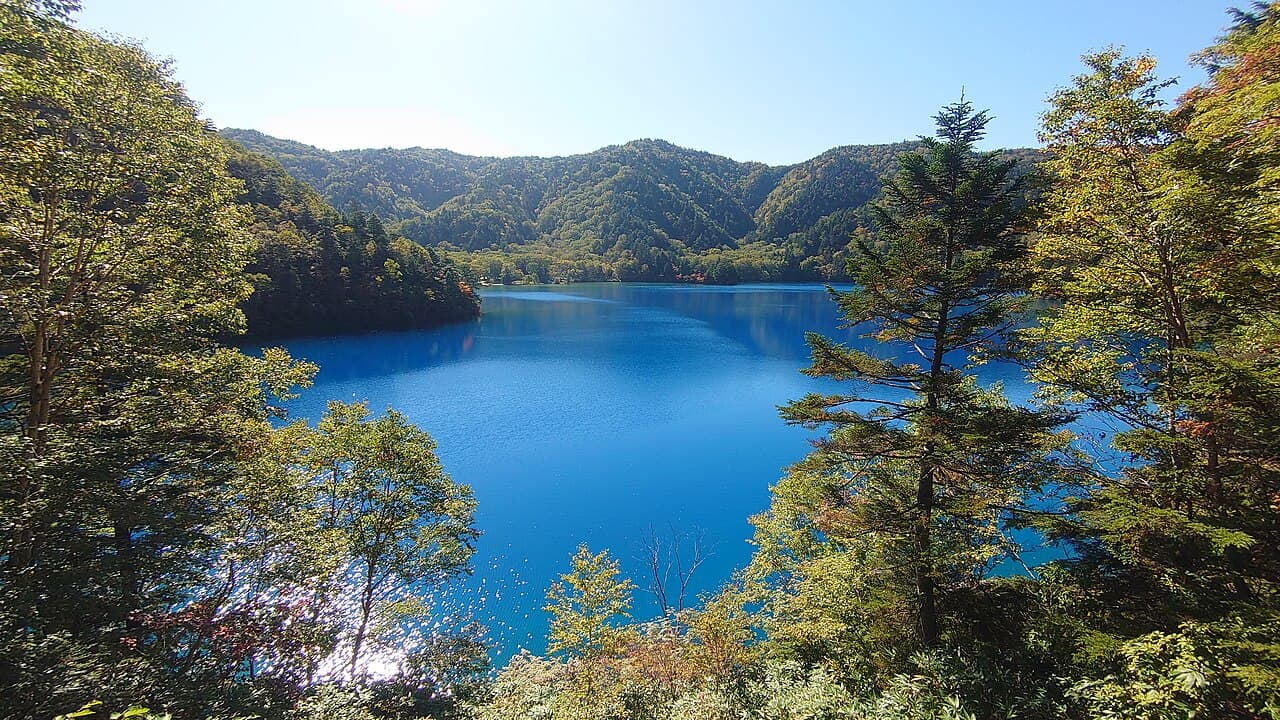 大沼池の写真