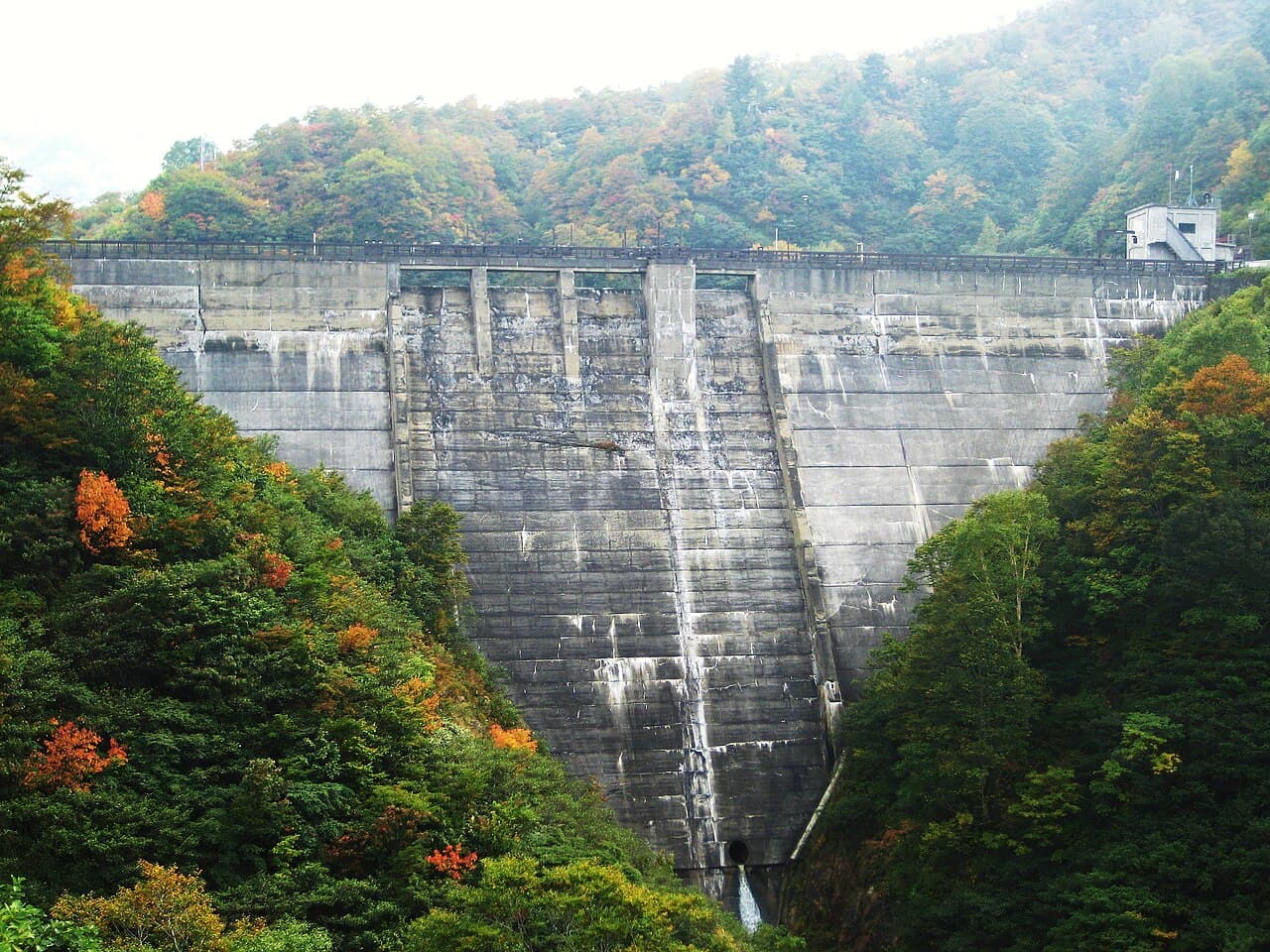 祐延の写真