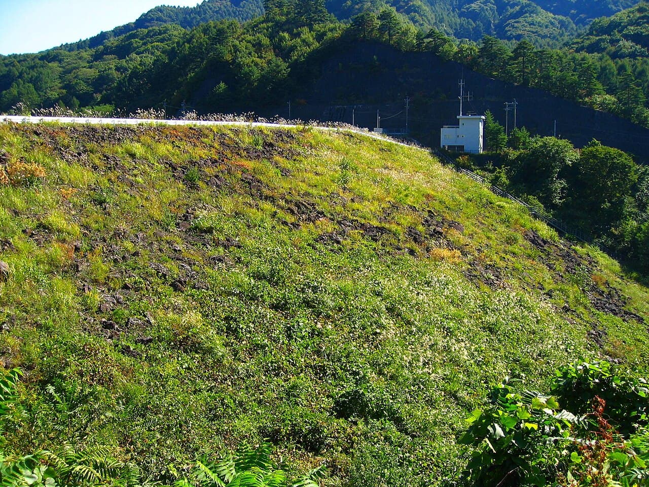 香坂の写真