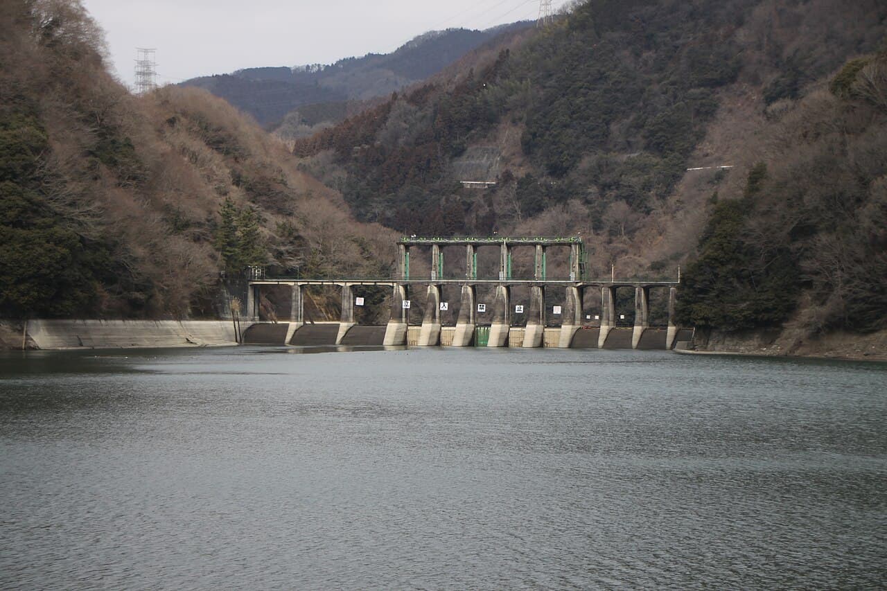 沼本の写真