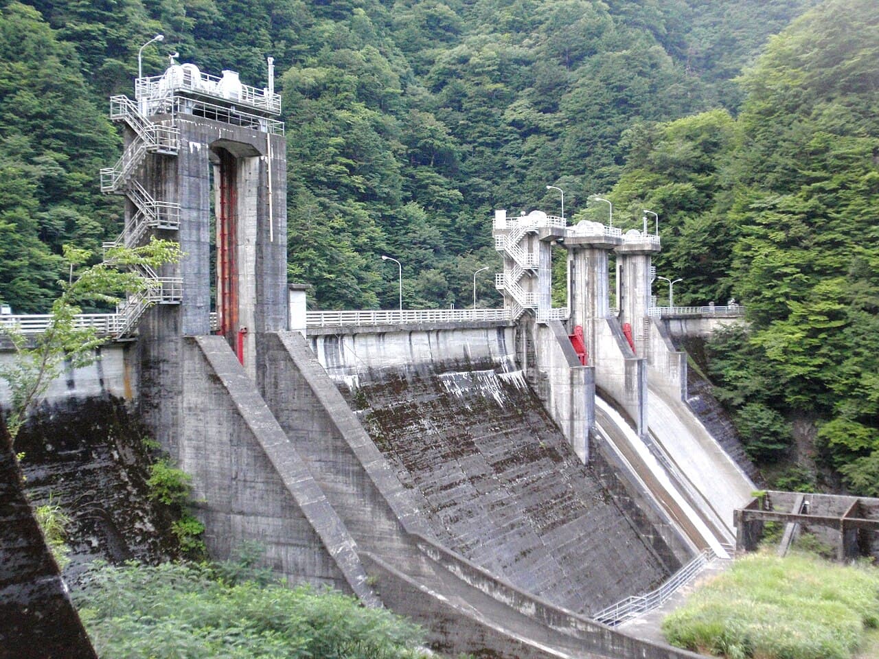 千頭の写真
