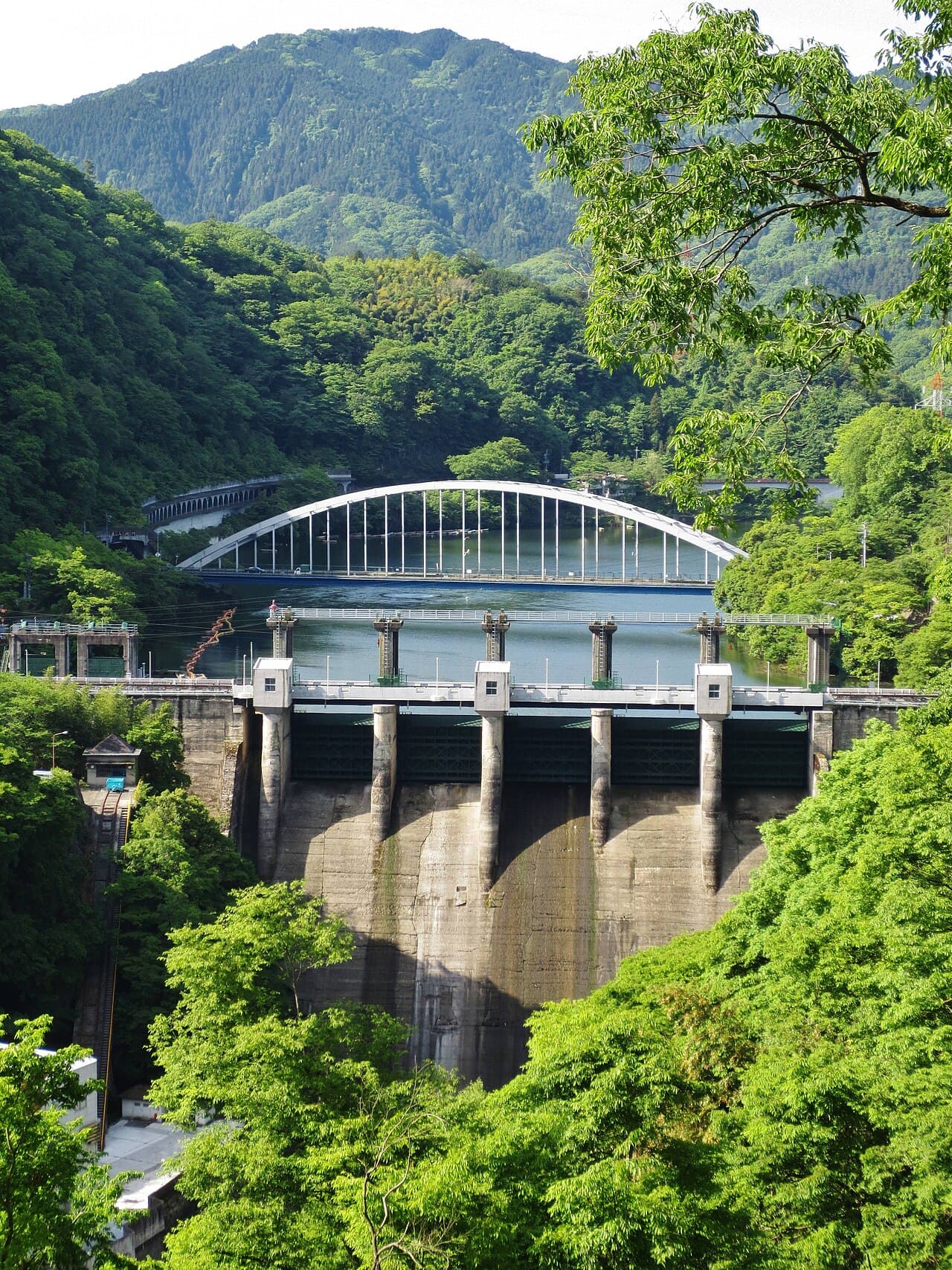 相模の写真