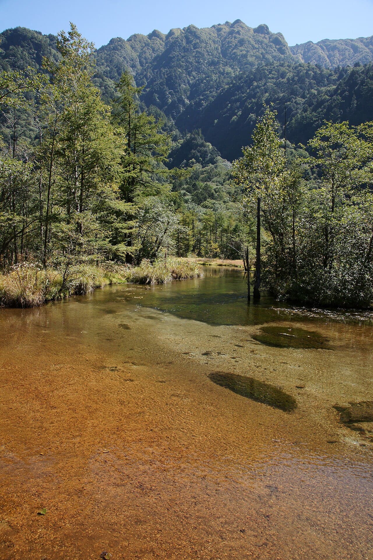 田代池の写真